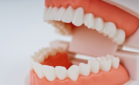 赤坂インプラント治療専門サイト｜赤坂B&S歯科・矯正歯科｜歯が残りやすい